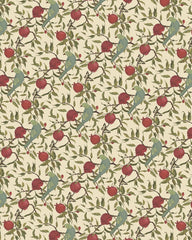 Rideau Oiseaux du Grenadier