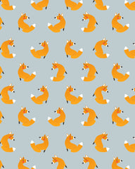 Rideau chambre enfant Petit Malin