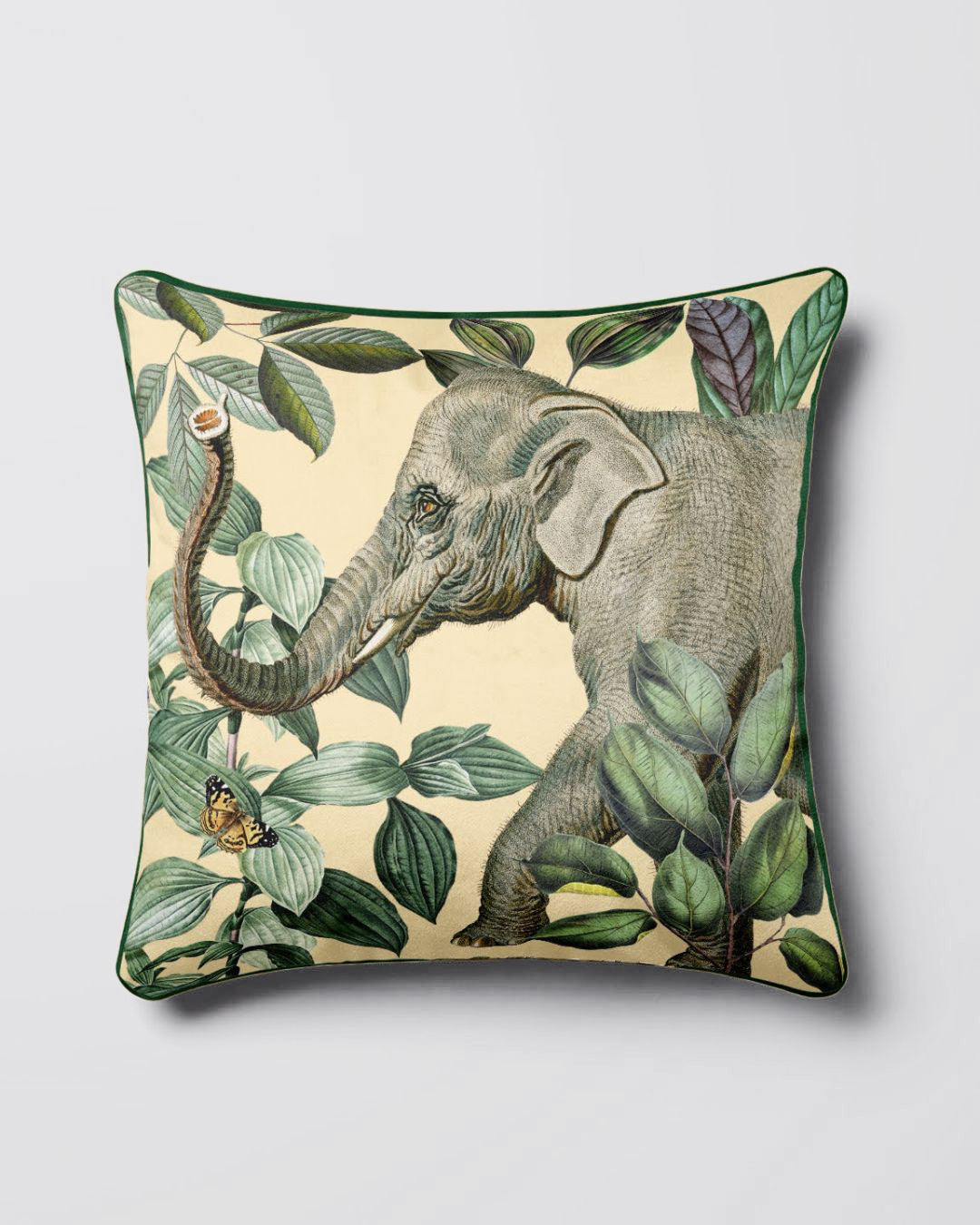 Coussin Savane Verte 1